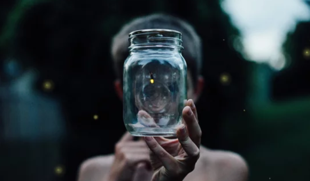 Like Captured Fireflies
